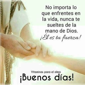 Meet your Posher, Luis alejandro